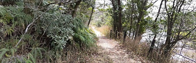 桜ケ池大蛇入定の由来へ続く道